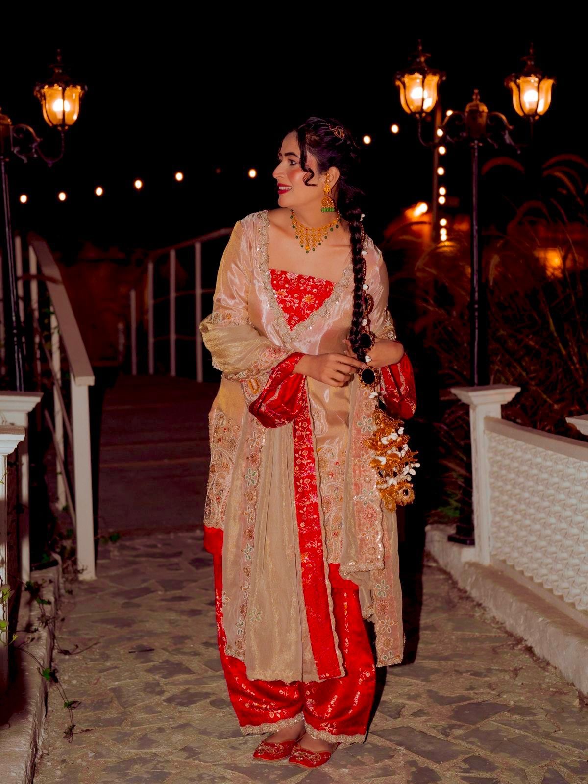 elegance in brocade