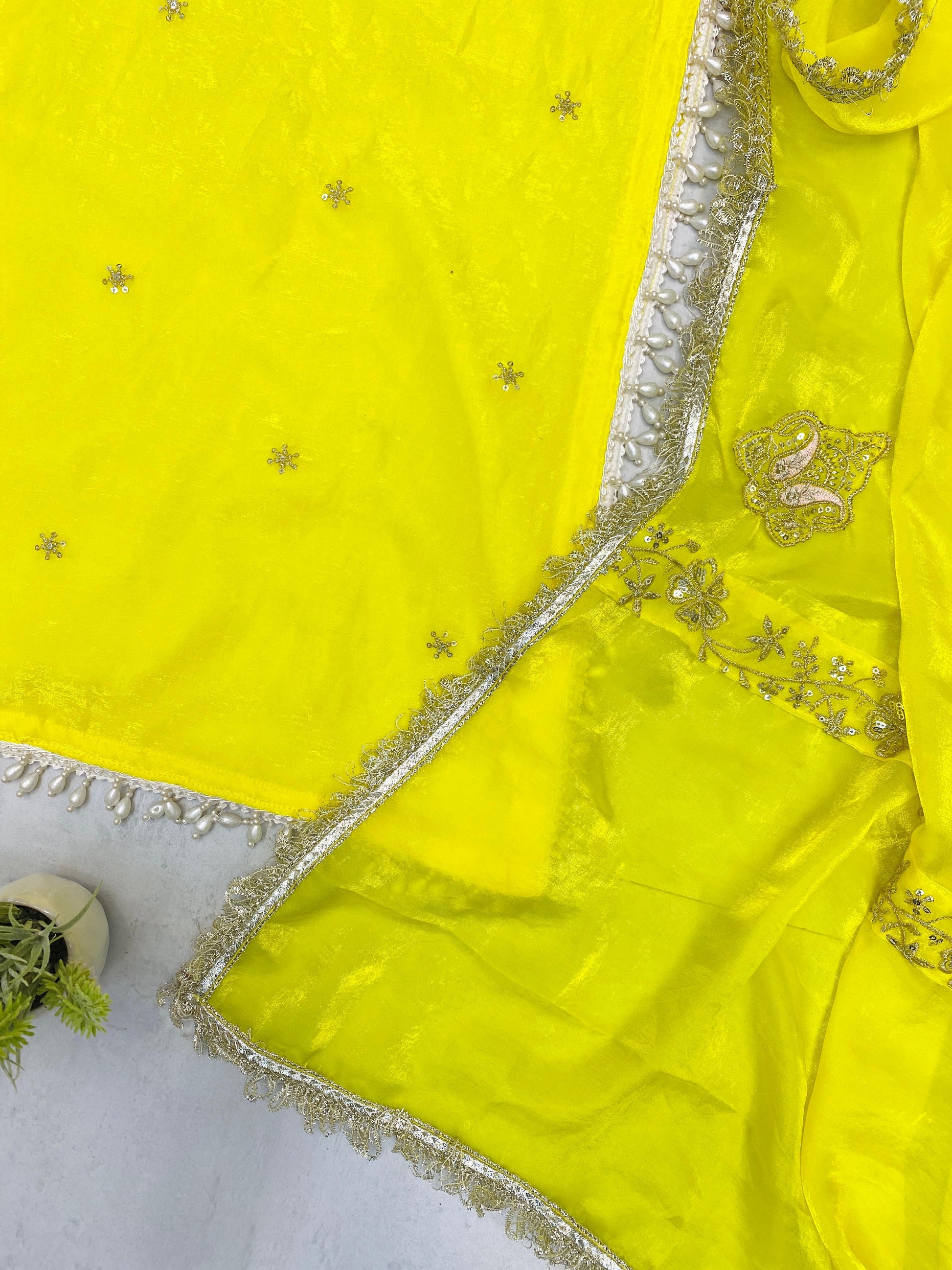 Bani sandhu inspired suit